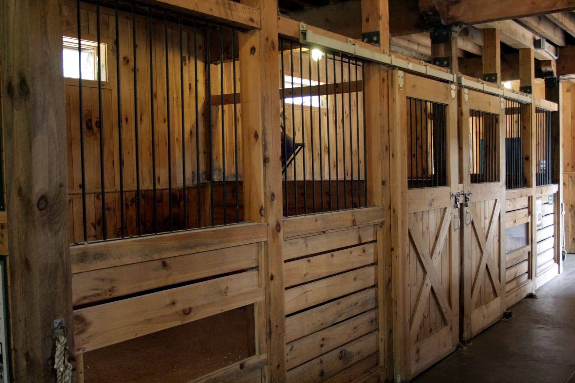 High-quality horse stables and stall buildings 