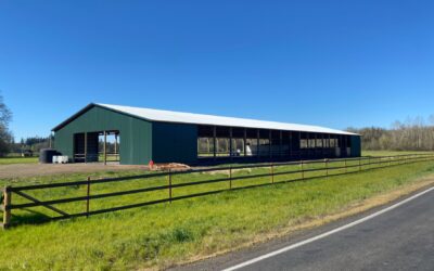 Designing Oregon Horse Arenas for Year-Round Use