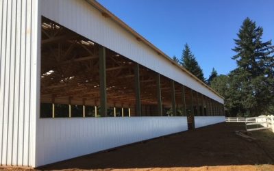 Custom Stables vs. Kits: Which Is Best for Your Needs?